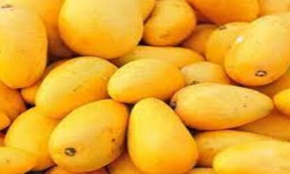 Mango